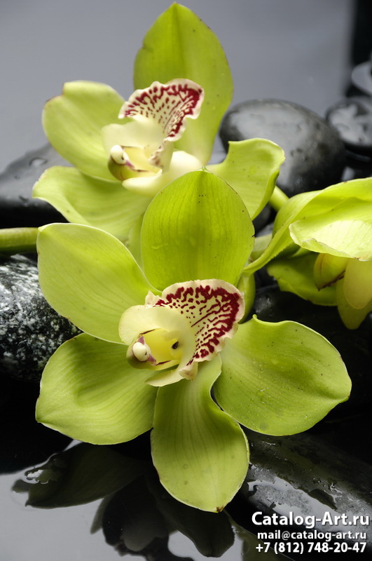 Yellow orchids 9